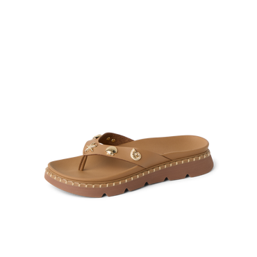 CK0366