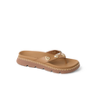 CK0366
