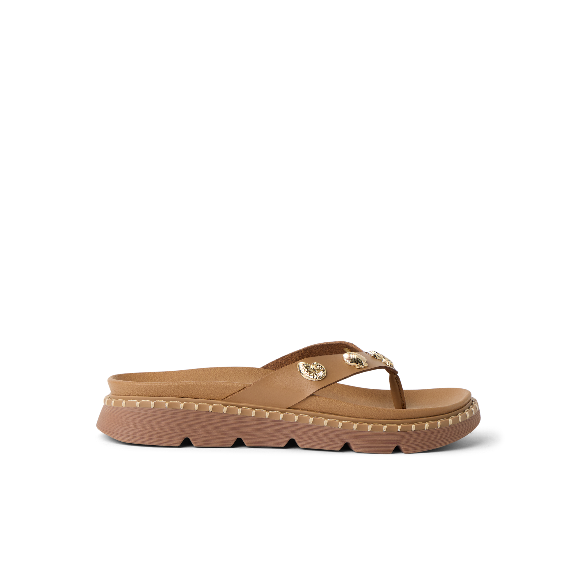 CK0366