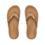 CK0366
