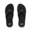 CK0451