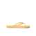 Solaye