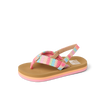 Little Ahi