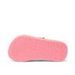 Little Ahi