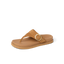 CK0477