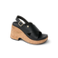 CK0480