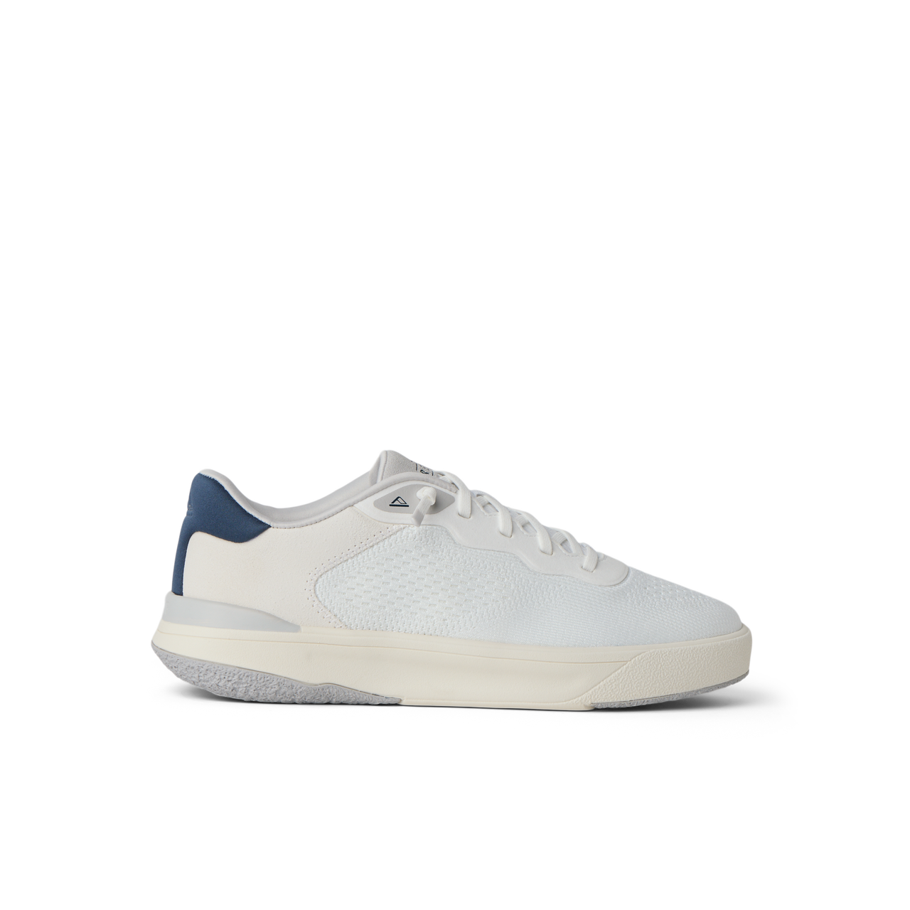 Shoreline Del Mar view 2