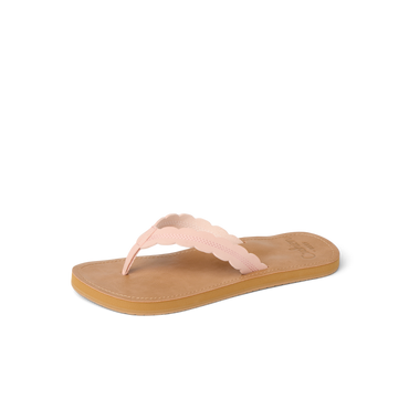 CK0955