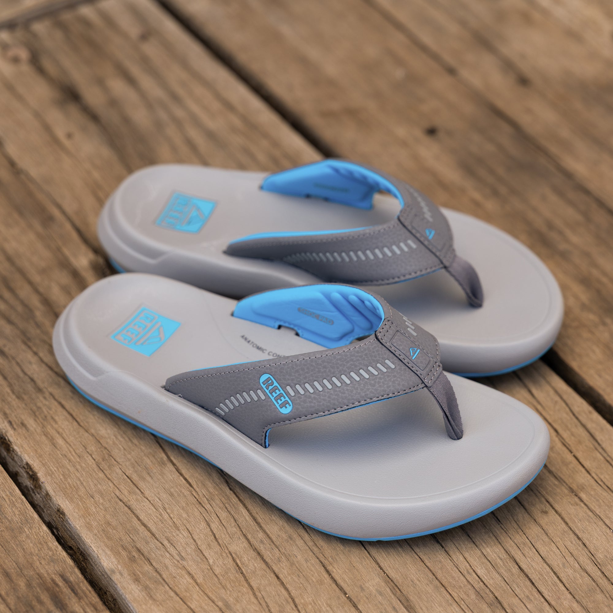 Cruiser – REEF