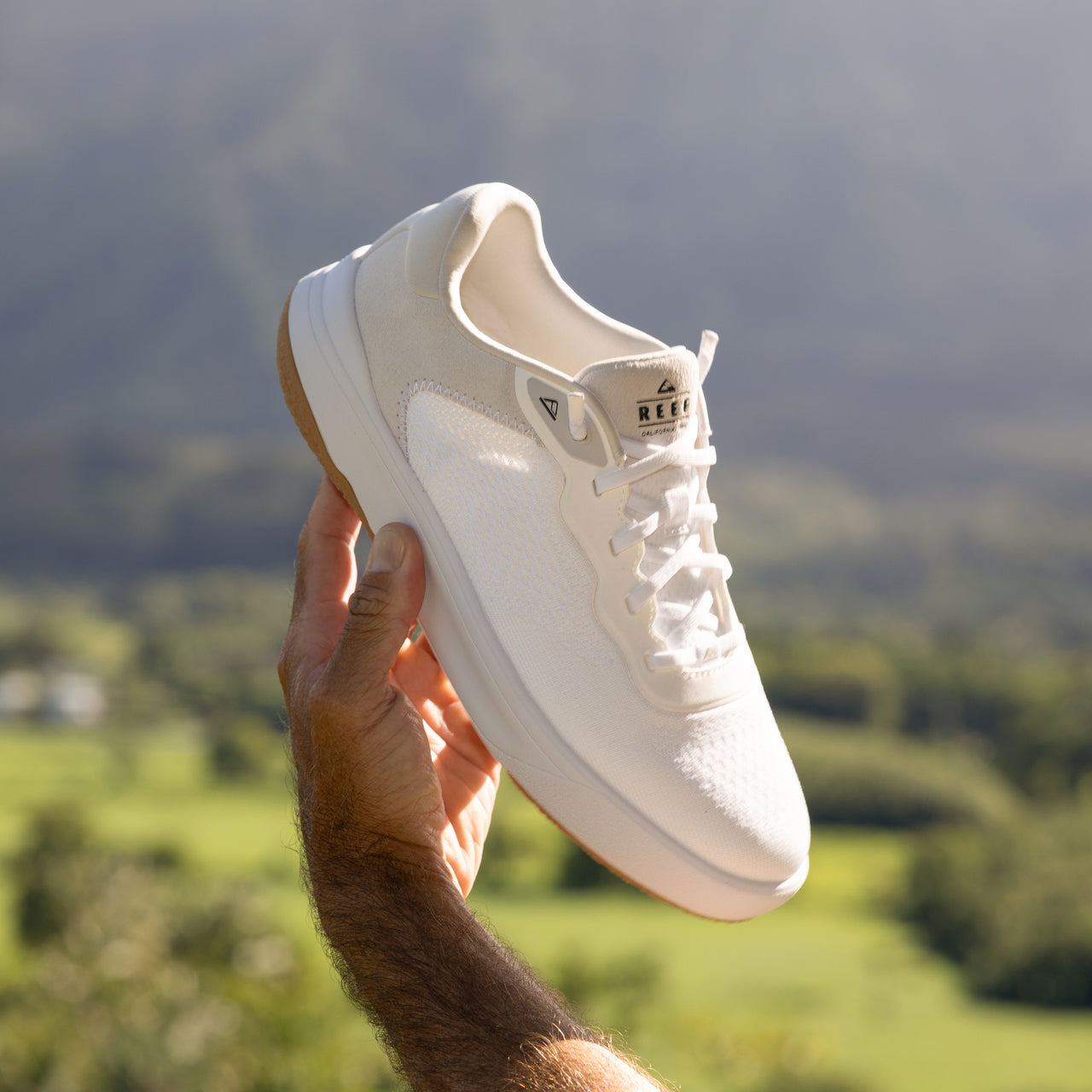 Shoreline Del Mar view 2