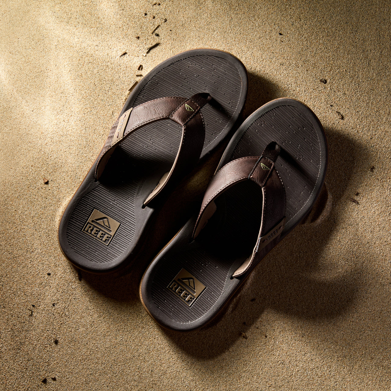 Reef Santa Ana view 2