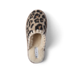 Iryss Slipper leopard print house slipper viewed from above with toe facing upward and plush lining