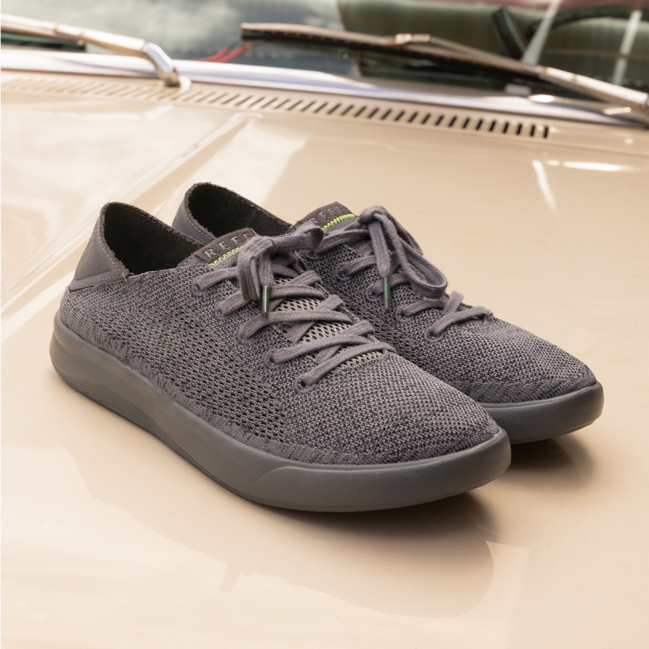 Swellsole Neptune view 2