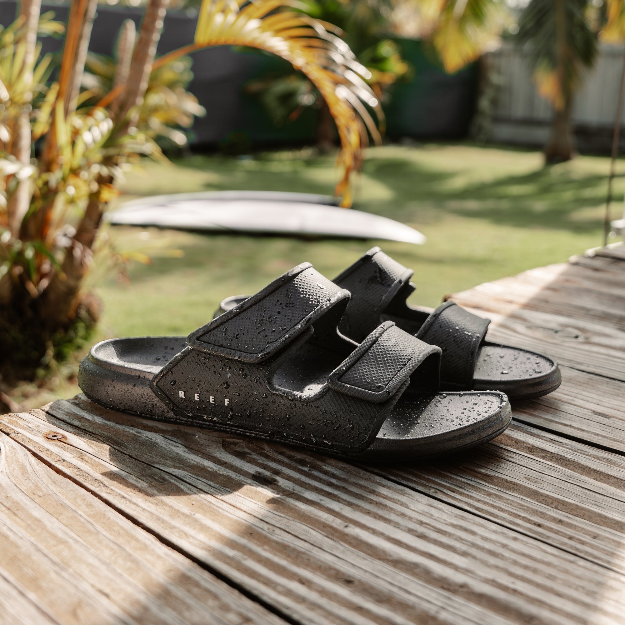 Oasis Adapt – REEF