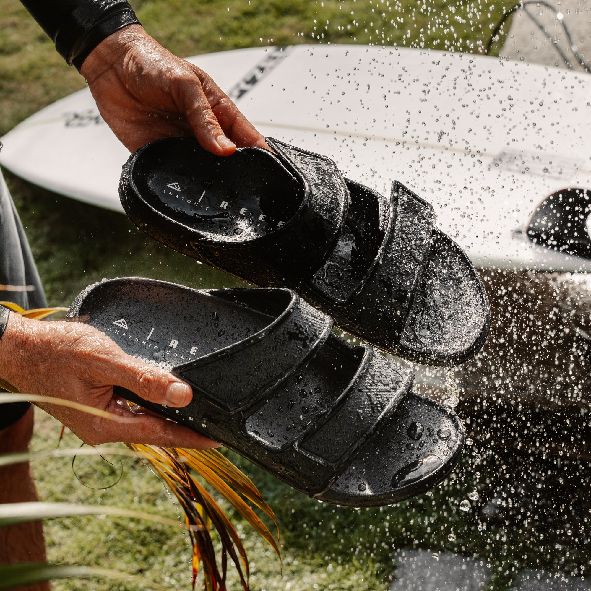Oasis Adapt – REEF