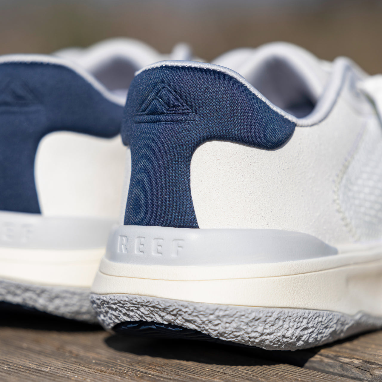 Shoreline Del Mar view 2