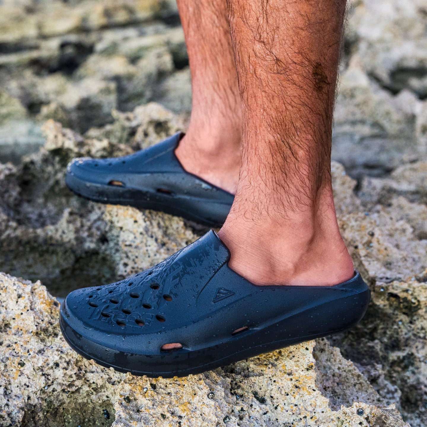 Glider – REEF