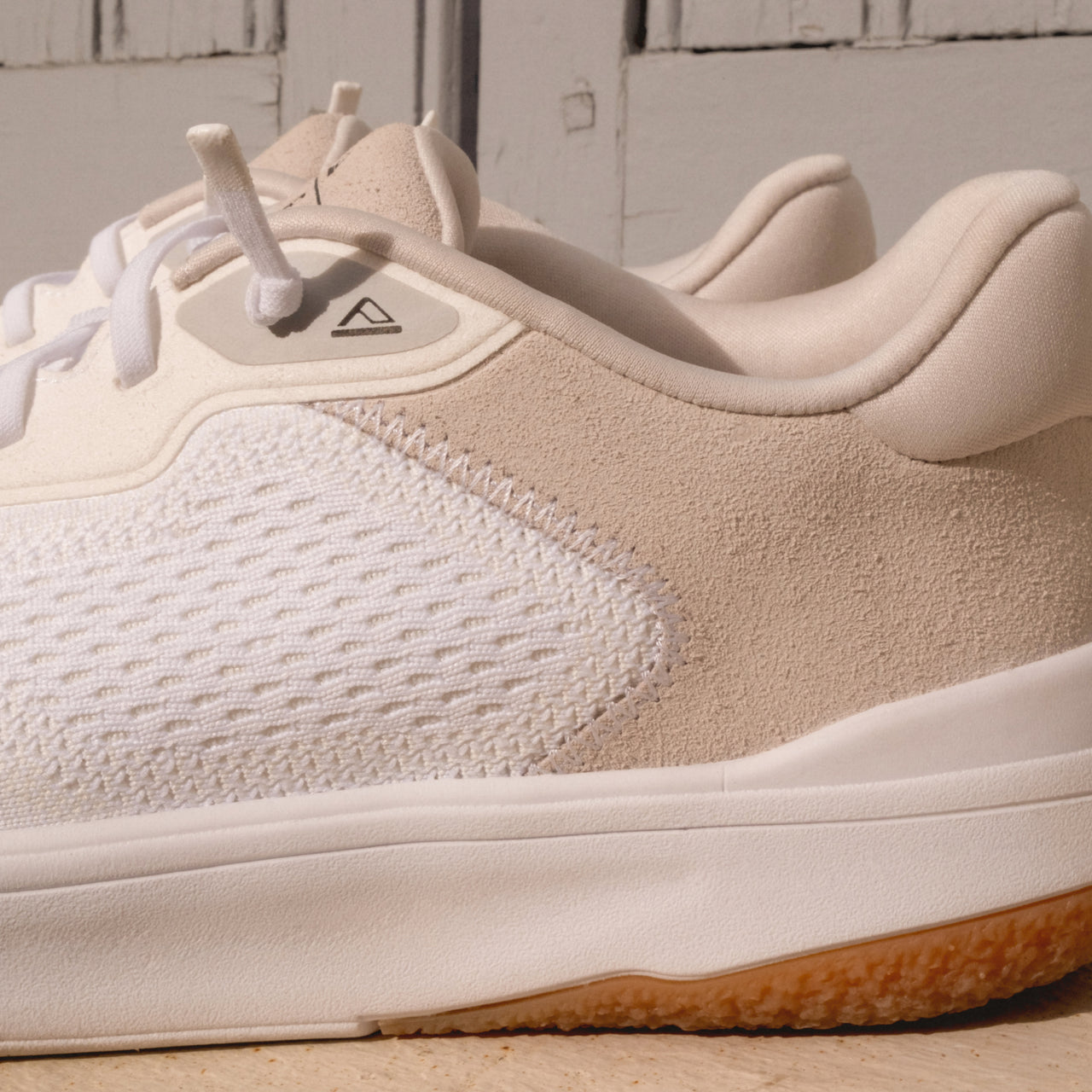 Shoreline Del Mar view 2