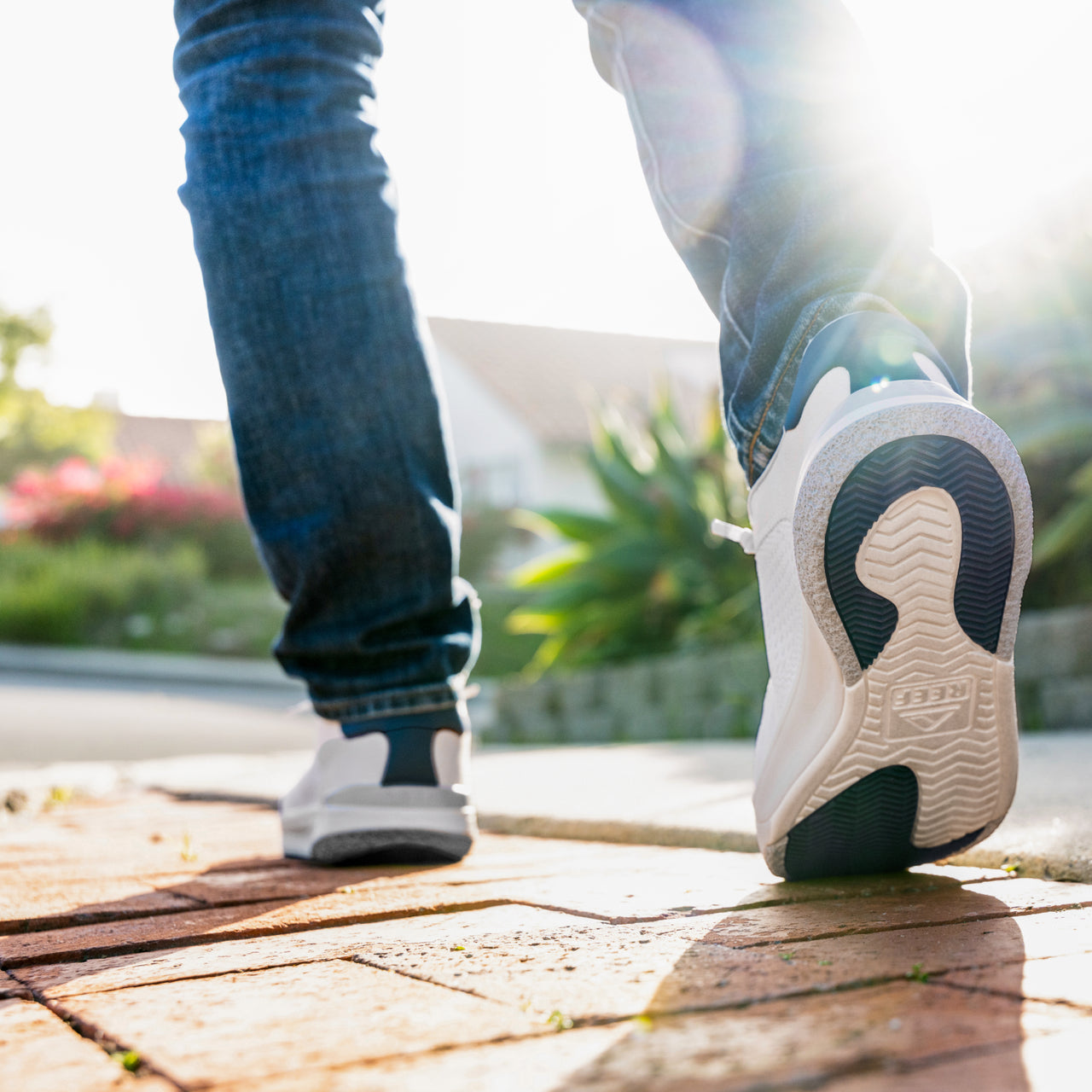 Shoreline Del Mar view 2