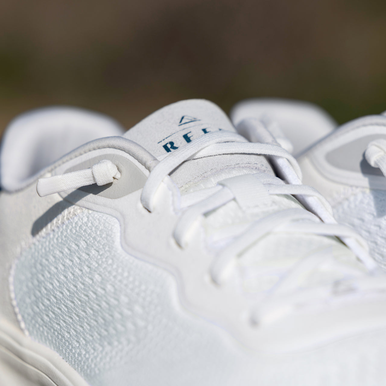 Shoreline Del Mar view 2