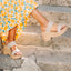 Sunset Ibiza x Jenny sandals facing right on stone steps, featuring woven platform and water-friendly cushioned footbed