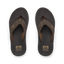 Phantoms - Brown - Top View