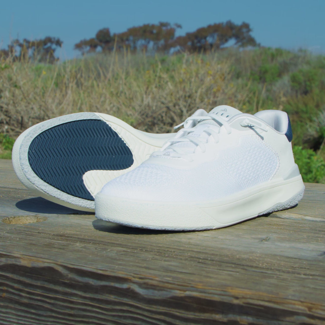 Shoreline Del Mar view 1