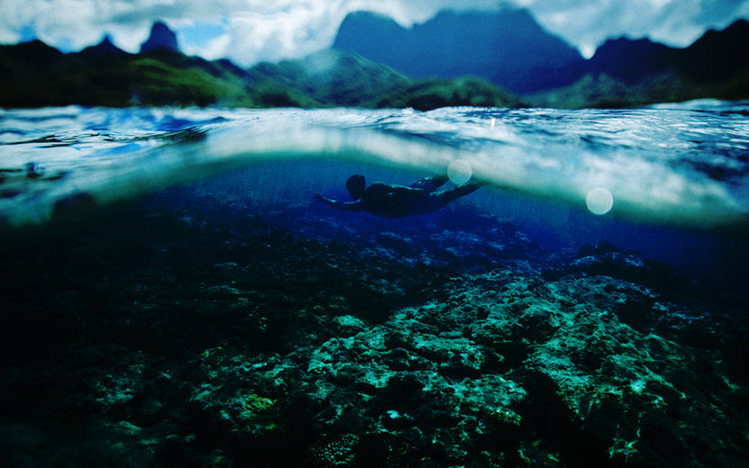For The Everyday Essentialist – Page 4 – REEF