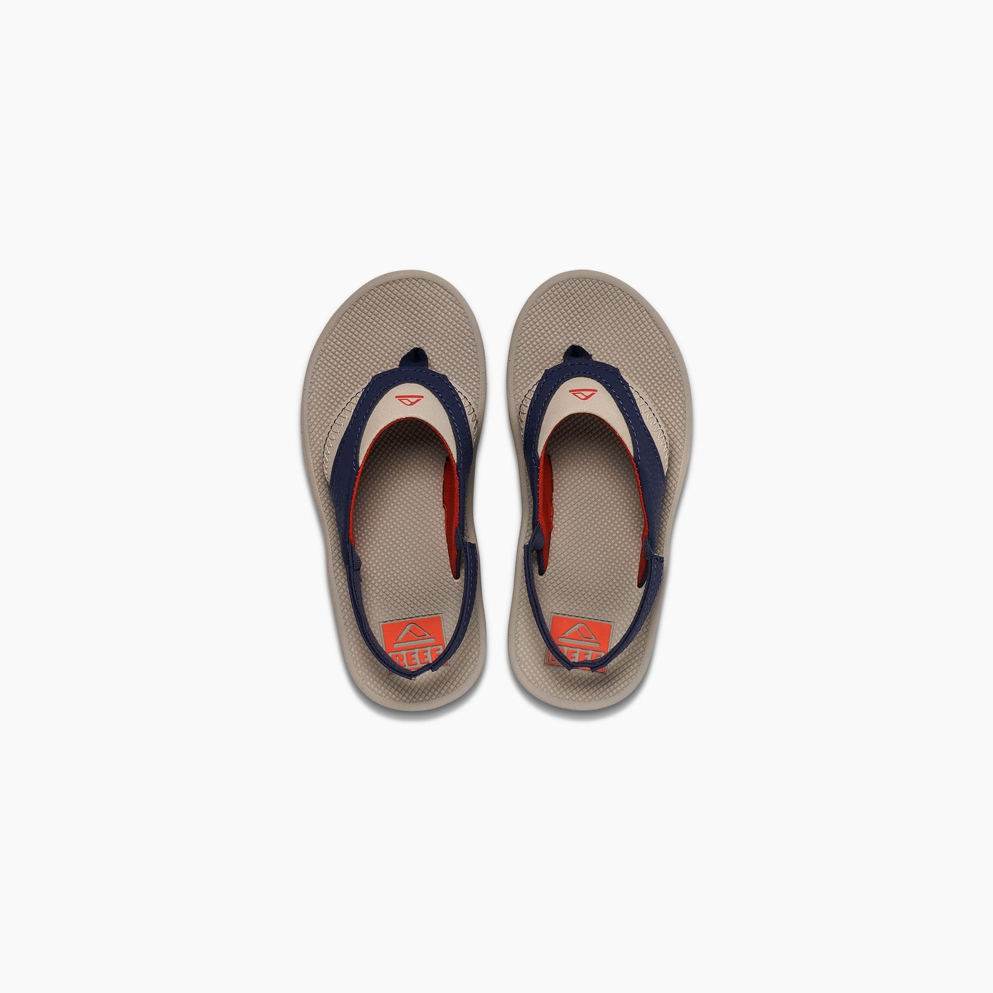 Little Fanning - Taupe/Navy - Top View