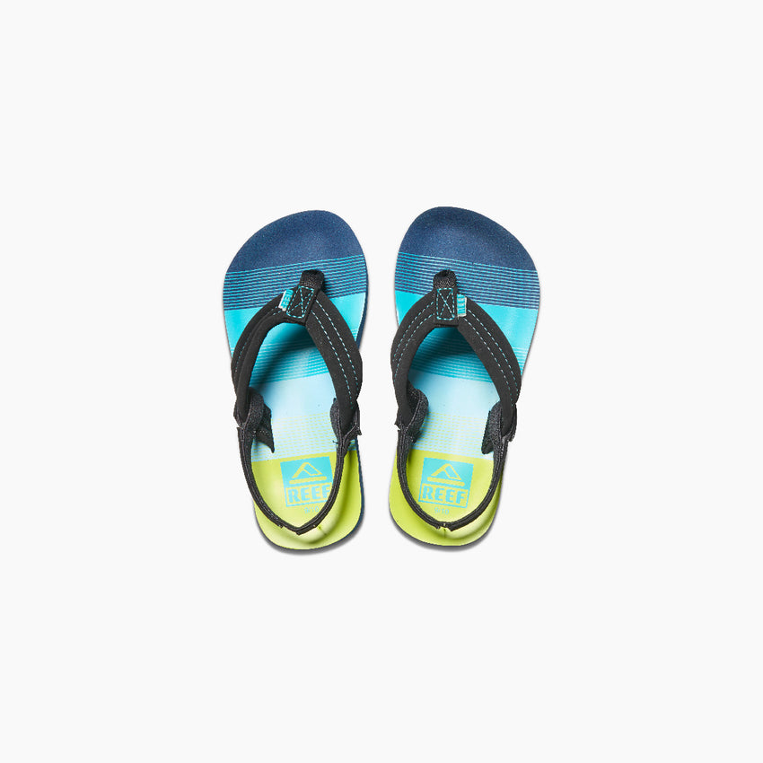 Little Ahi - Aqua/Green - Top View